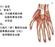 丕指定賲賱氐赗乇爻賰爻胤賷夭hd